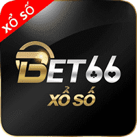 indian rummy apk old version